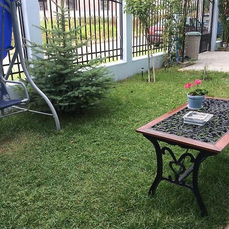 Vila Ελλάδα コスティネシュティ エクステリア 写真